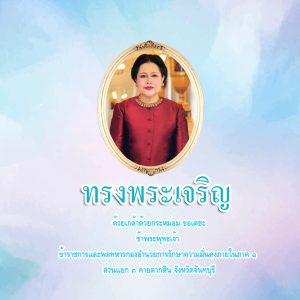 q9taksin